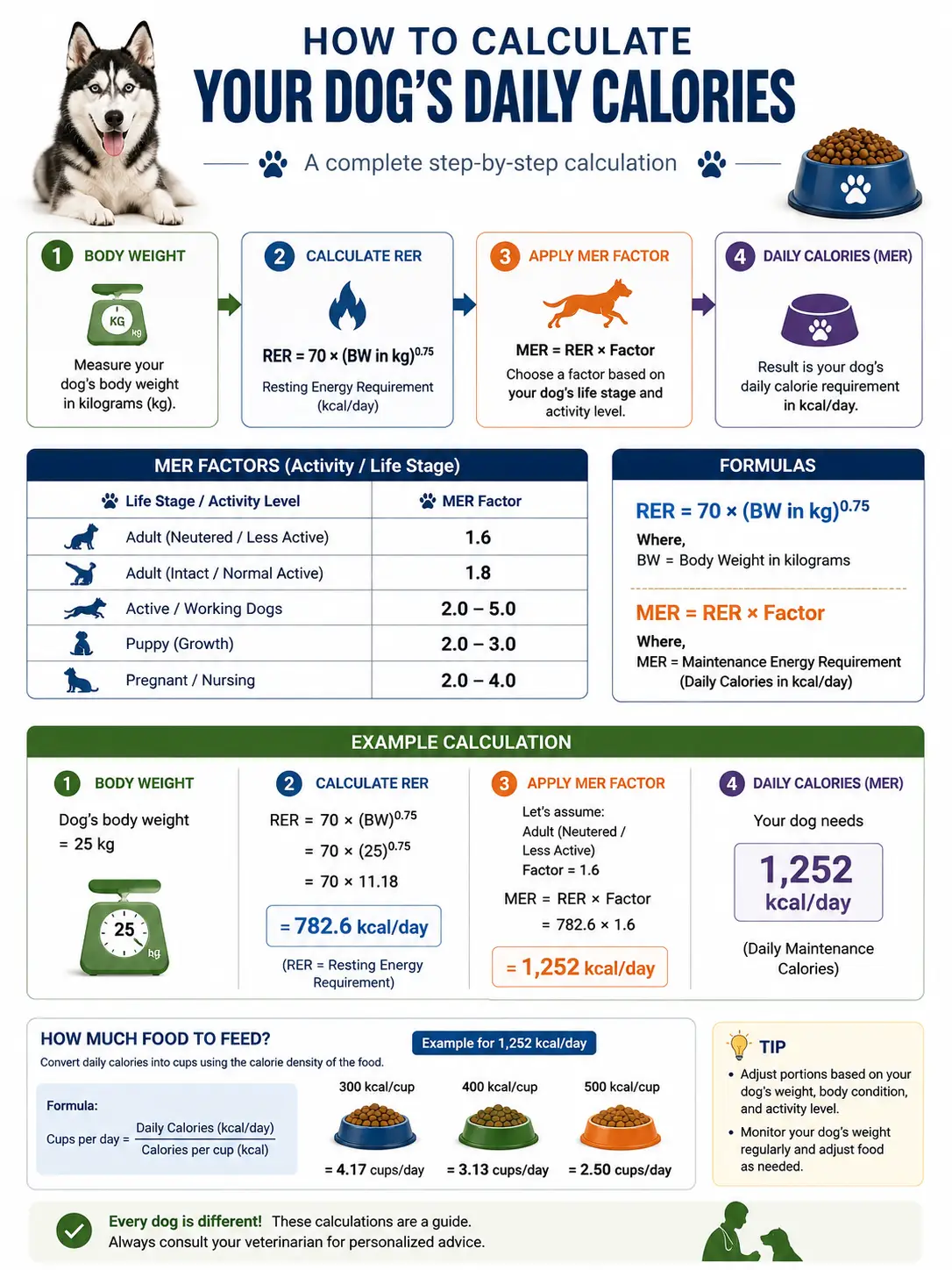Dog feeding calculation from body weight to daily food amount